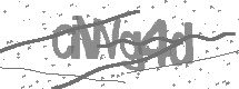 visual captcha